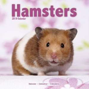 Hamsters Calendar 2019 de Avonside Publishing Ltd