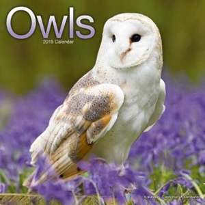 Owls Calendar 2019 de Avonside Publishing Ltd