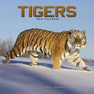 Tigers Calendar 2019 de Avonside Publishing Ltd