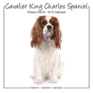 Cavalier King Charles Studio Calendar 2019 de Avonside Publishing Ltd