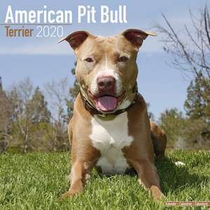 American Pit Bull Terrier Calendar 2020 de Avonside Publishing Ltd