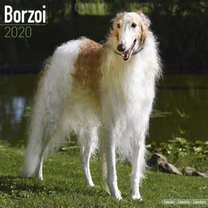 Borzoi - Russischer Wolfshund 2020 de Avonside Publishing Ltd