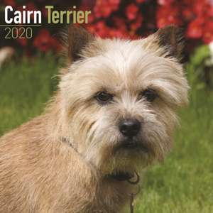 Cairn Terrier Calendar 2020 de Avonside Publishing Ltd