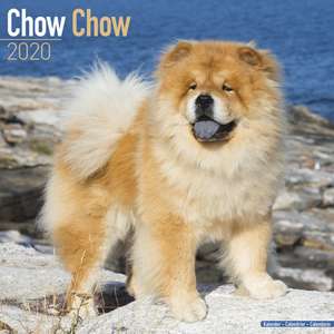 Chow Chow Calendar 2020 de Avonside Publishing Ltd