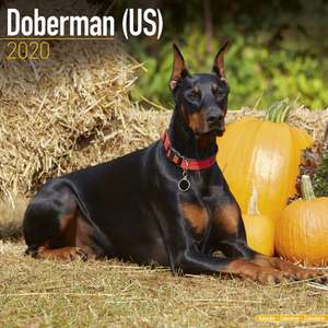 Doberman (US) Calendar 2020 de Avonside Publishing Ltd