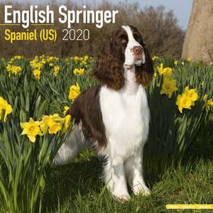 English Springer Spaniel (US) Calendar 2020 de Avonside Publishing Ltd