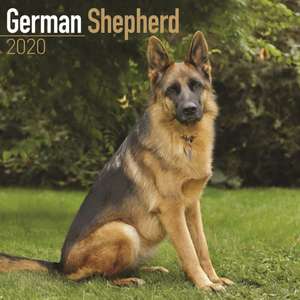 German Shepherd Calendar 2020 de Avonside Publishing Ltd