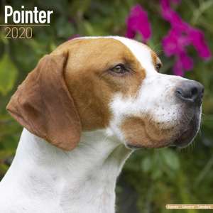 Pointer Calendar 2020 de Avonside Publishing Ltd