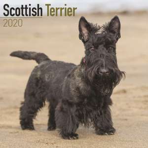 Scottish Terrier Calendar 2020 de Avonside Publishing Ltd