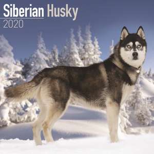 Siberian Husky Calendar 2020 de Avonside Publishing Ltd