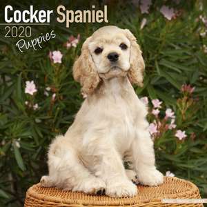 Cocker Spaniel Puppies Calendar 2020 de Avonside Publishing Ltd