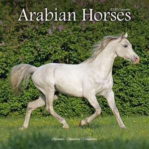 Arabian Horses Calendar 2020 de Avonside Publishing Ltd