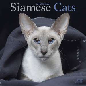 Siamese Cats Calendar 2020 de Avonside Publishing Ltd