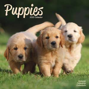 Puppies Calendar 2020 de Avonside Publishing Ltd