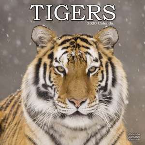 Tigers Calendar 2020 de Avonside Publishing Ltd