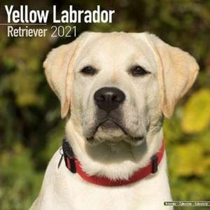 LABRADOR RETRIEVER YELLOW SQUARE WALL CA