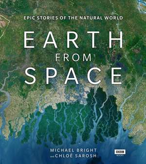 Earth from Space de Chloe Sarosh