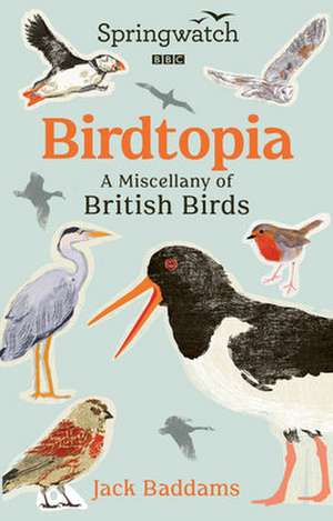 Springwatch: Birdtopia de Jack Baddams