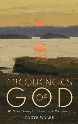 Frequencies of God de Carys Walsh