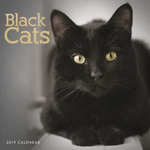 BLACK CATS W 2019