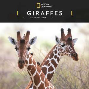 GIRAFFES NG W 2019