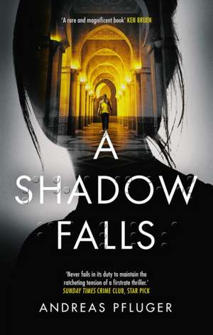 A Shadow Falls de Andreas Pfluger