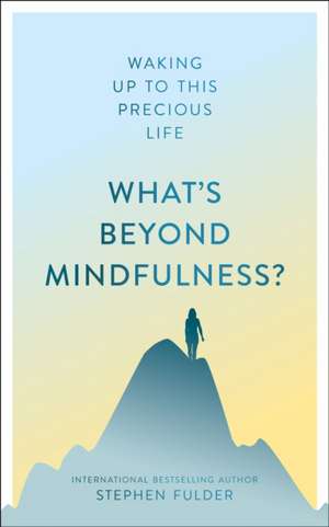 What's Beyond Mindfulness? de Stephen Fulder