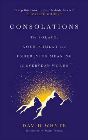 Consolations: The Solace, Nourishment and Underlying Meaning of Everyday Words de David Whyte