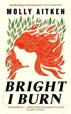 Bright I Burn de Molly Aitken