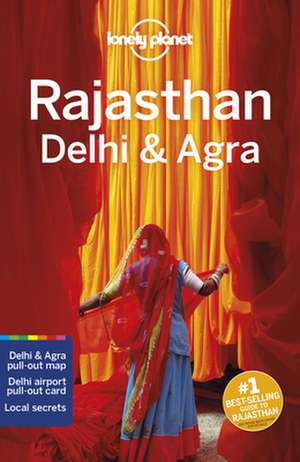 Lonely Planet: Rajasthan, Delhi & Agra de Sarina Singh