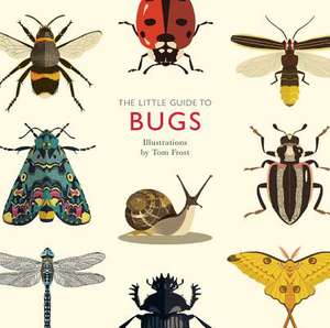 The Little Guide to Bugs de Alison Davies