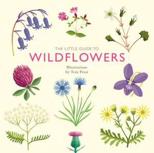 The Little Guide to Wildflowers de Alison Davies