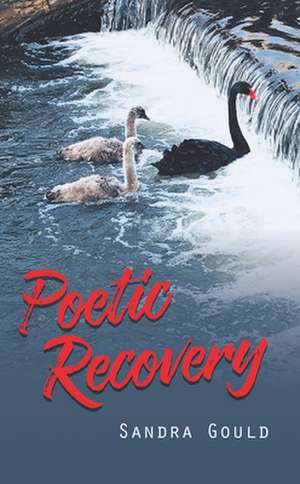 Poetic Recovery de Sandra Gould