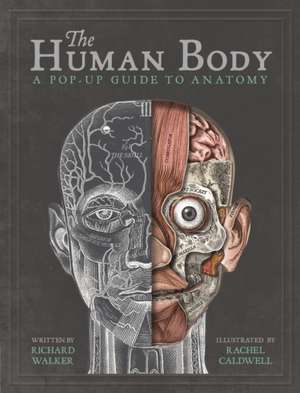 The Human Body de Richard Walker