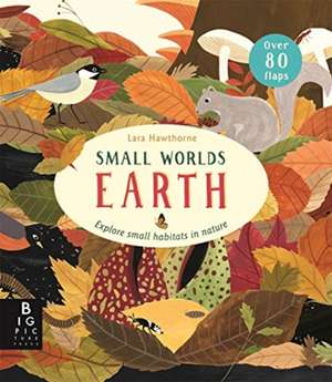 Small Worlds: Earth de Camilla De La Bedoyere