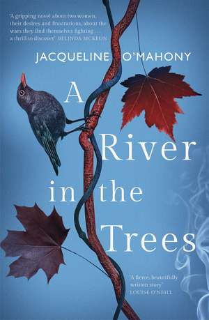 A River in the Trees de Jacqueline O'Mahony