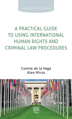 A Practical Guide to Using International Human Rights and Criminal Law Procedures de Connie De La Vega