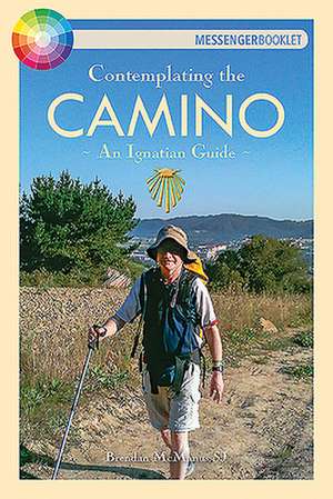 Contemplating the Camino de Brendan Mcmanus