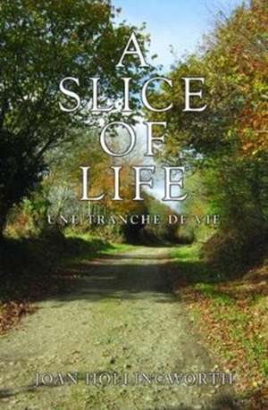 A Slice Of Life de Joan Hollingworth