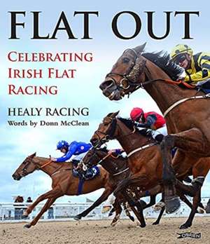 Flat Out de Donn McClean