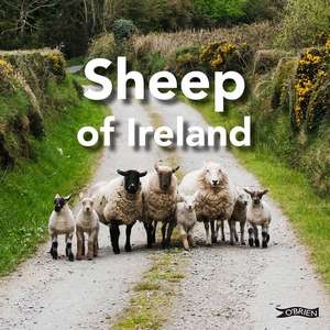 Sheep of Ireland de Sarah O'Connor