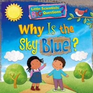 Why Is the Sky Blue? de Ruth Owen