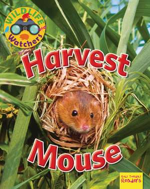 Harvest Mouse de Ruth Owen