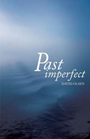 Past Imperfect de David Olsen