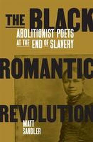 The Black Romantic Revolution de Matthew F. Sandler