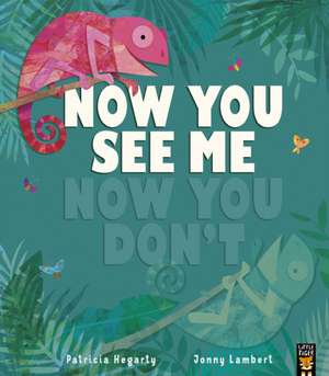 Now You See Me, Now You Don't de Patricia Hegarty