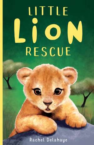 Little Lion Rescue de Rachel Delahaye