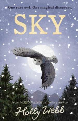 Sky de Holly Webb