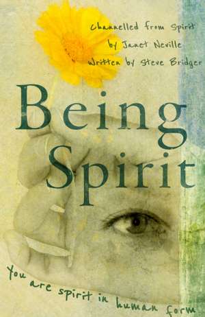 Being Spirit de Janet Neville