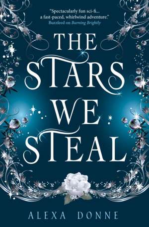 The Stars We Steal de Alexa Donne